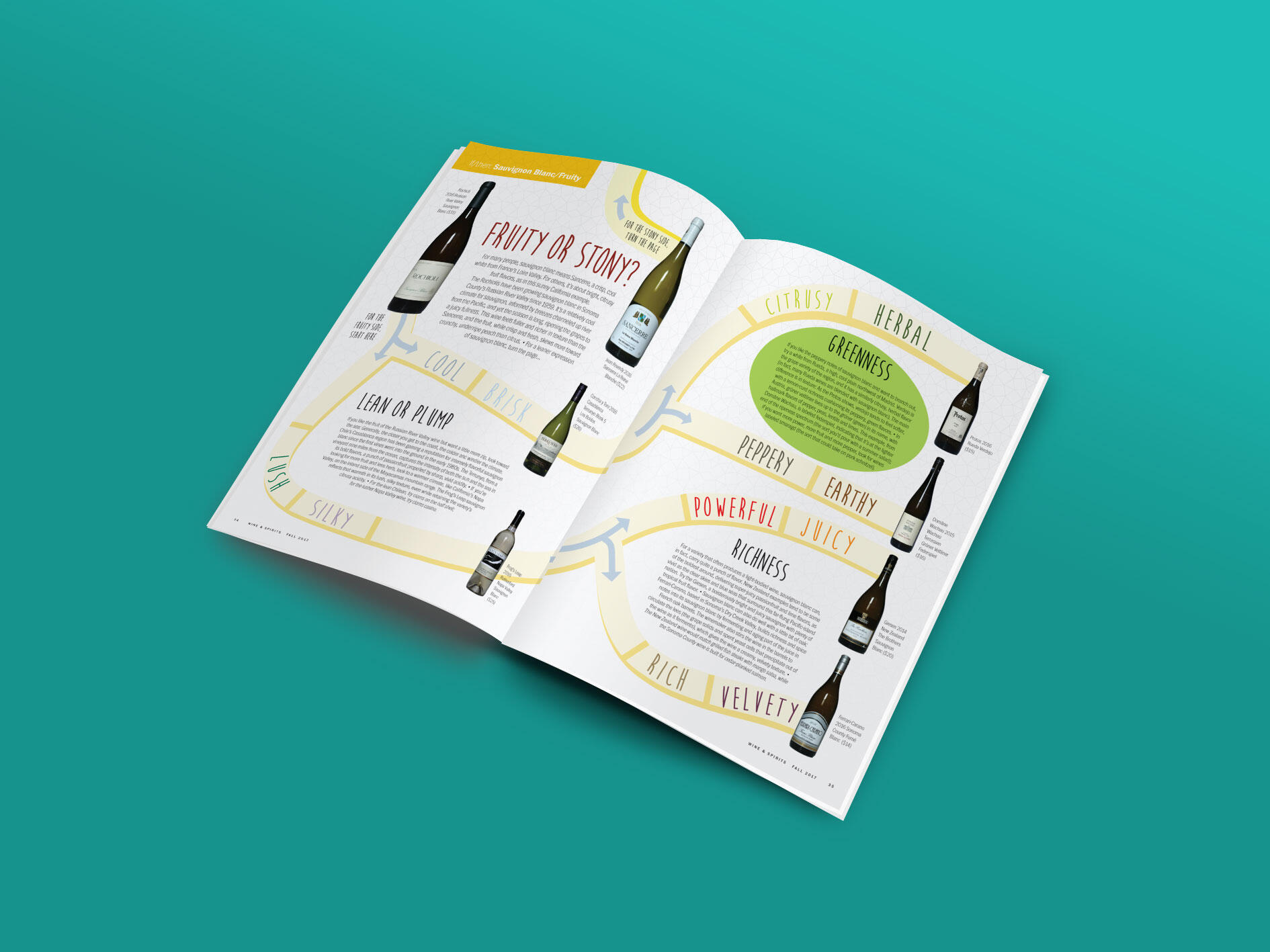 "Fruity or Stony" section of Sauvignon Blanc Print magazine a one page article called "Fruity or Stony" featured in Wine & Spirits' Fall 2018 issue laid out in the style of a game board.